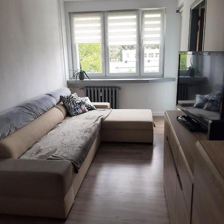 Apartament Komfortowy - W Pelni Wyposazony - Spaceapart Διαμέρισμα Jelenia Góra Εξωτερικό φωτογραφία