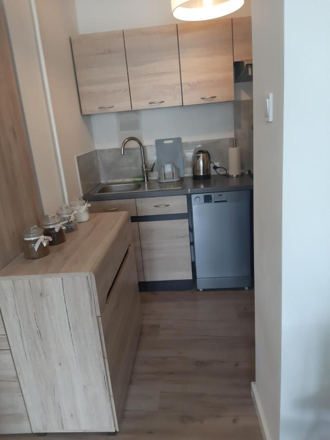 Apartament Komfortowy - W Pelni Wyposazony - Spaceapart Διαμέρισμα Jelenia Góra Εξωτερικό φωτογραφία